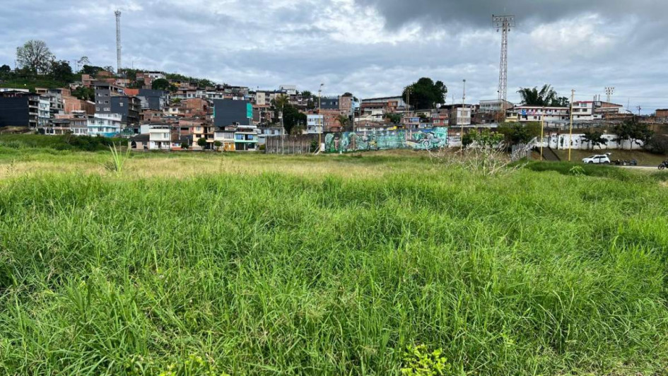 Lote de Anserma (Caldas) en donde se construirá la Sede Agroindustrial de la Universidad de Caldas. 