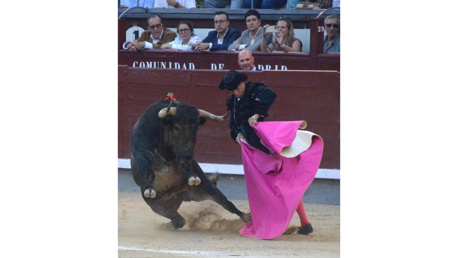 Así fue la tarde de este sábado en Las Ventas para los toreros. Al final, Manuel Escribano recibió ovaciones de los asistentes.