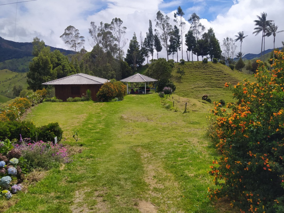 Un cambio de perspectiva impulsó un negocio en una zona rural del Norte de Caldas. Un empresario descubrió que su finca tenía potencial de atractivo turístico.