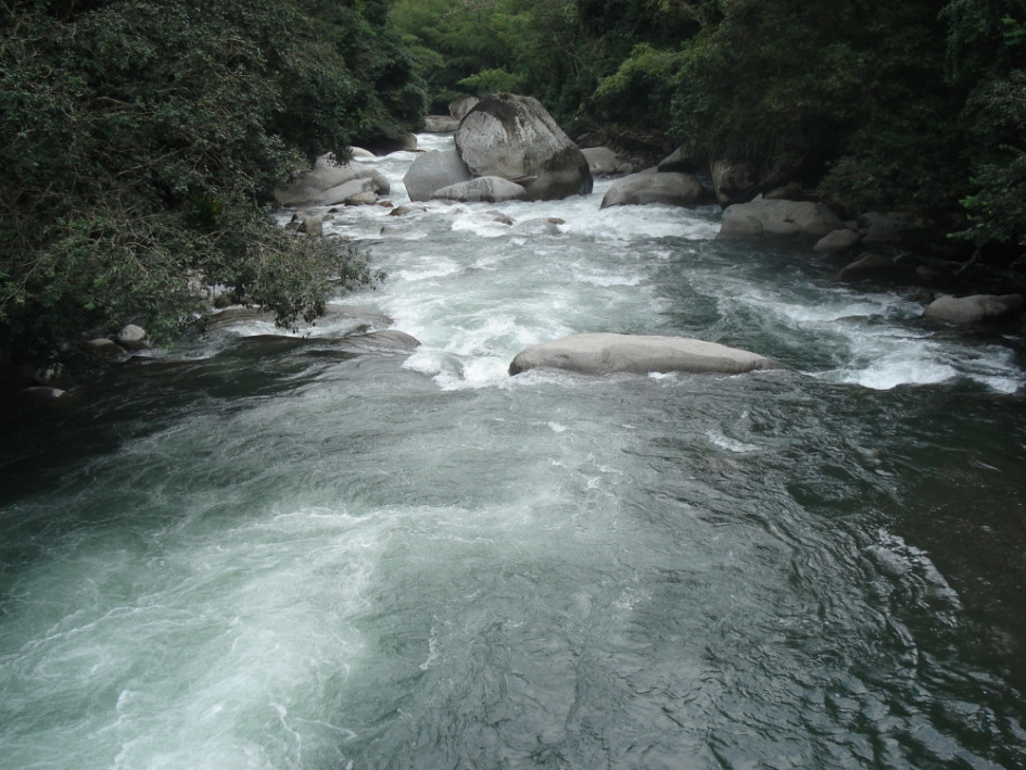 El río La Miel desemboca en El Magdalena y durante su travesía se pueden encontrar rápidos, caídas de agua y pozos.