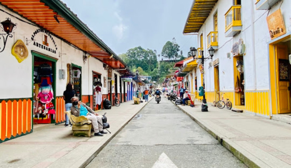 Cine y biodiversidad: Festival Internacional en Salento celebra su edición número 11