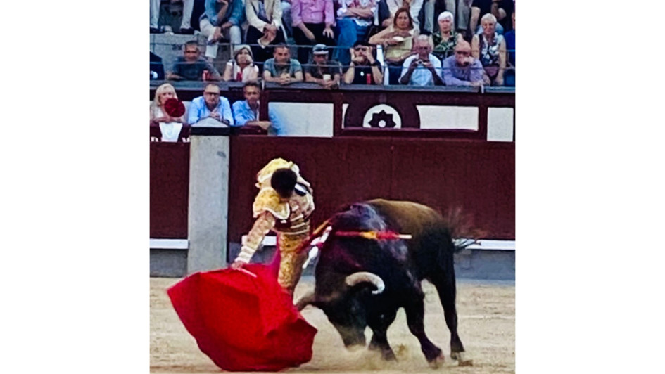 Muletazo de Samuel Navalón al sexto de la tarde. El torero valenciano se fue entre palmas de los espectadores.