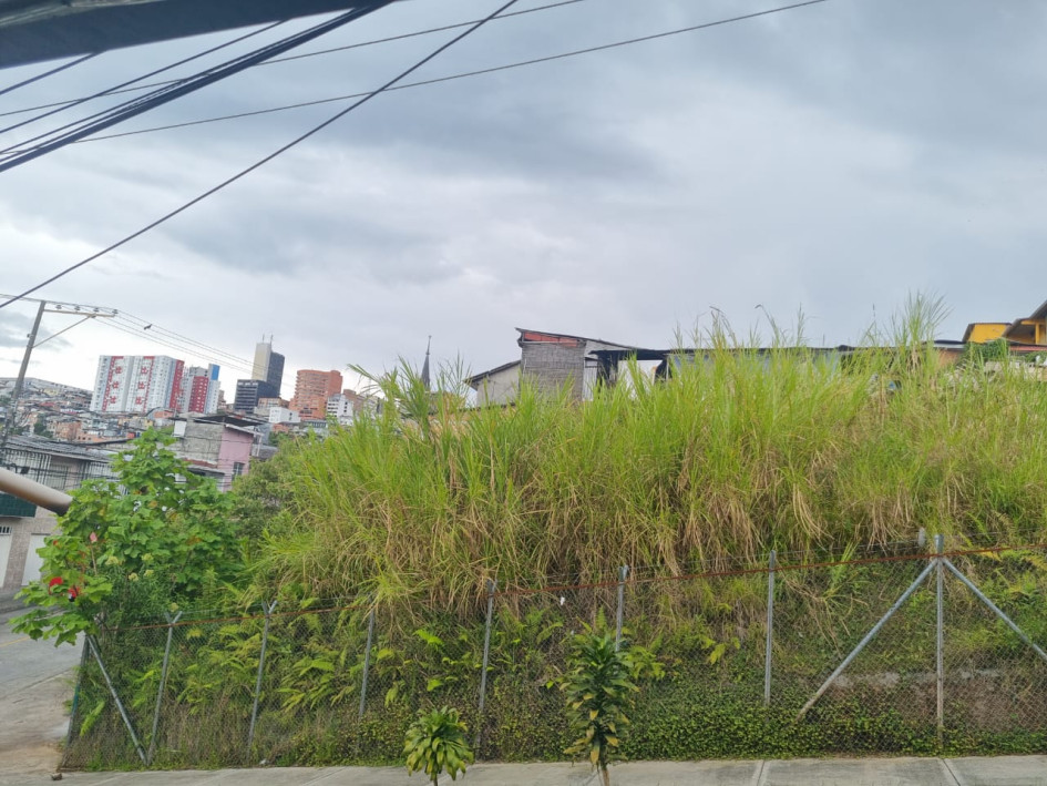 Este es el terreno que la comunidad pide que sea intervenido.