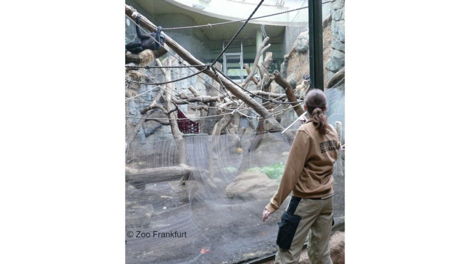 Imagen del 2024 del Zoo Frankfurt. 