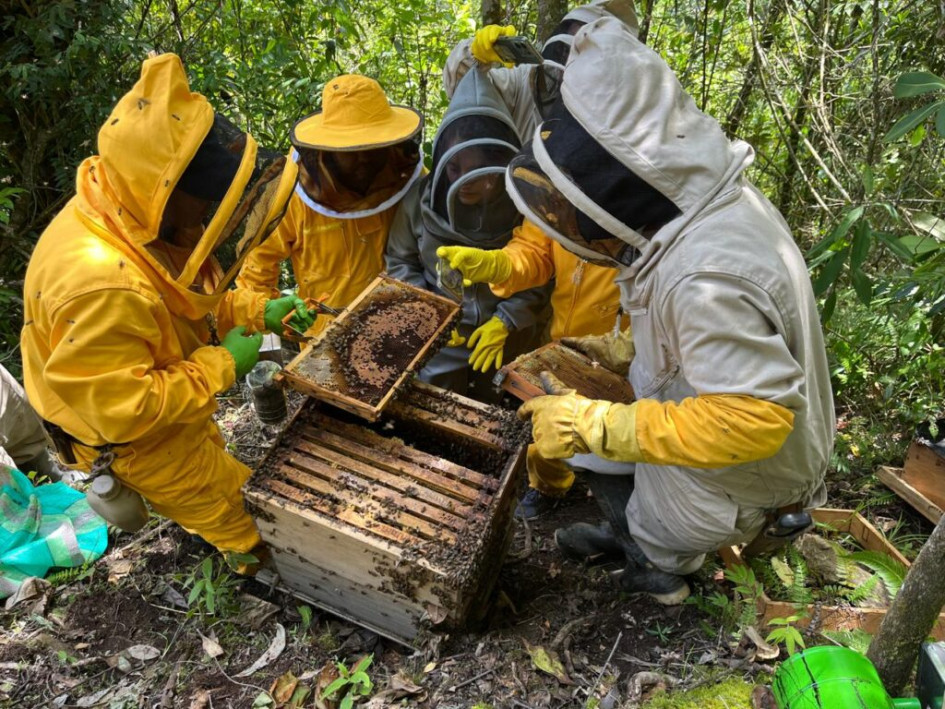 El uso indiscriminado de agroquímicos habría provocado la muerte de 27 panales de abejas en Victoria.