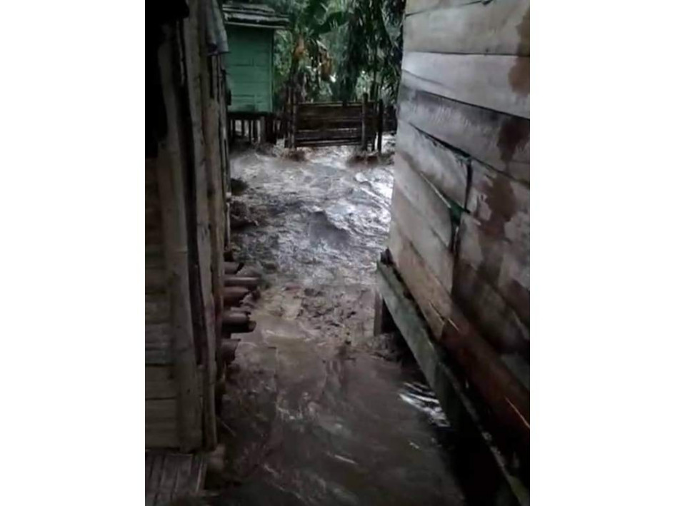 Una creciente súbita afectó a las viviendas de la vereda El Palo de Risaralda (Caldas). 