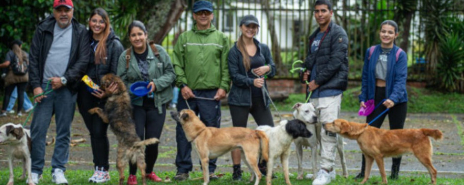 Desde la Alcaldía de Manizales se han realizado varias jornadas en busca de que la comunidad adopte animales como perros y gatos. 