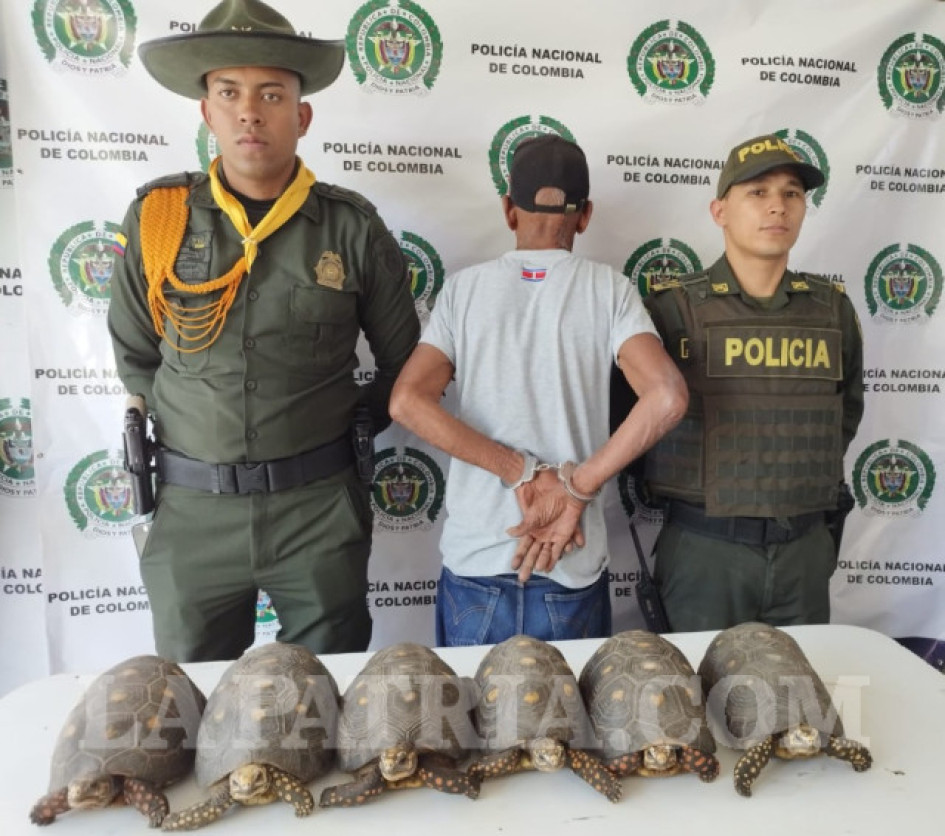 Joel Popó Mina sostuvo que desconocía la ley y tuvo en su poder las tortugas por 21 años.