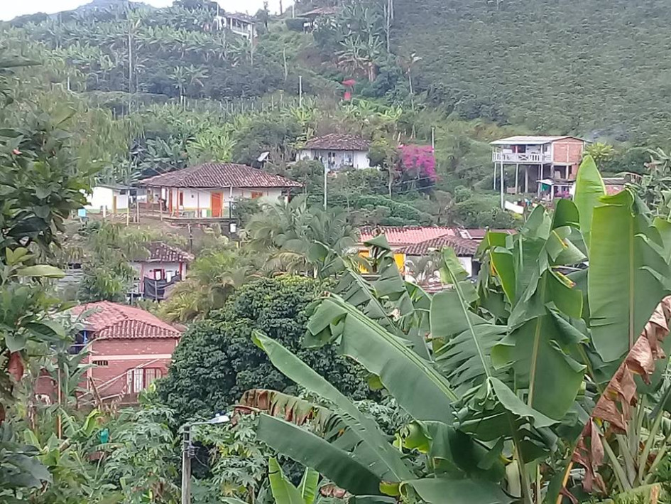 Foto | Cortesía | LA PATRIA   Las Fiestas de San Pedro se realizaron en Anserma. 