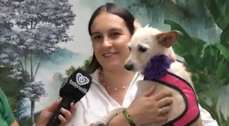 ¿Hospital público veterinario en el Quindío? Esto dice la diputada Aristizábal