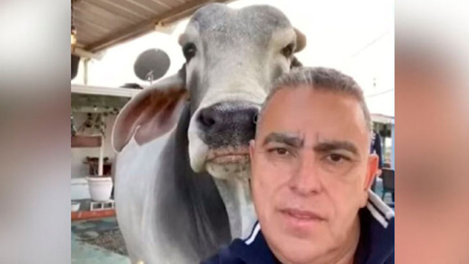 Alerta en el Eje Cafetero: estafas con lotes proindiviso engañan a compradores