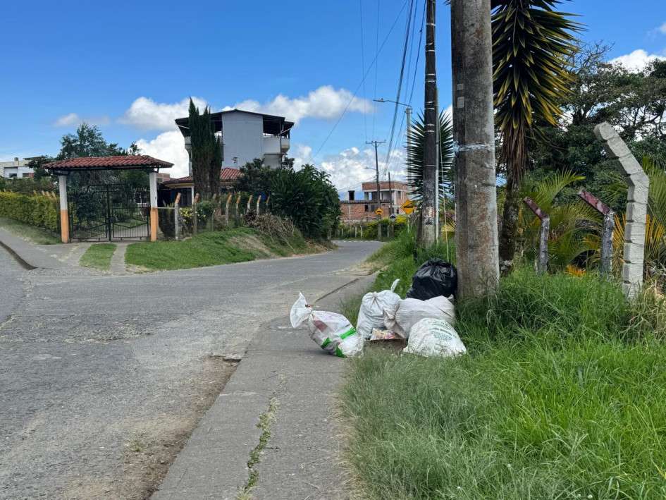 Las basuras en la avenida El Libertador. 
