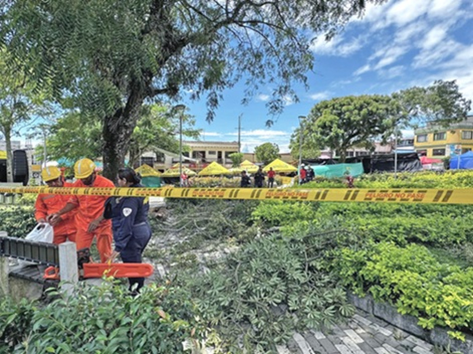 Susto con el tronco Foto | Facebook Alcaldía | LA PATRIA