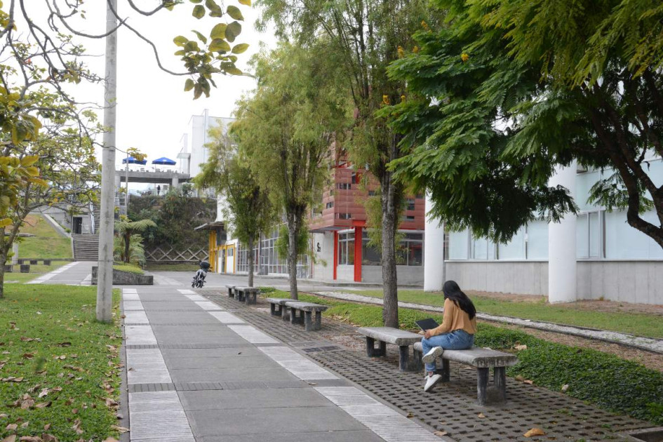 Los docentes que apoyan la propuesta aseguran que se compartieron errores, imprecisiones, malas informaciones y desinformaciones.