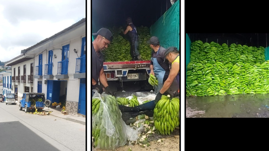 La familia Jaramillo Arango inició su negocio en julio del 2024 y ya despacha toneladas desde Caldas con destino a Bogotá. Su negocio crece rápido, esta es su historia.