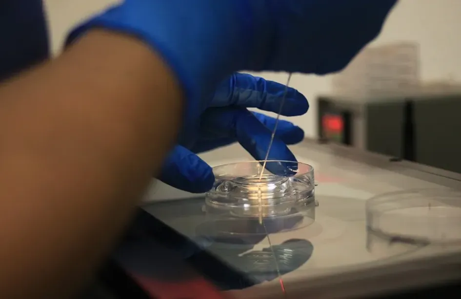 Análisis de laboratorio