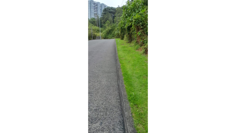 Esta es la parte que piden intervenir los vecinos de La Sultana y Niza.