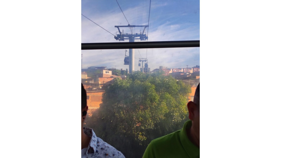 Así se veían los árboles antes de la poda.