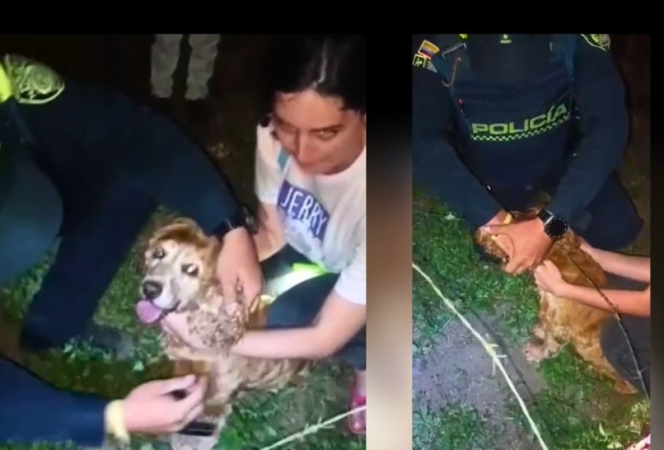 Lupe fue revisada tras el rescate y, afortunadamente, no presentaba heridas. Finalmente, fue entregada sana y salva a su dueño, quien agradeció entre lágrimas el gesto de solidaridad.