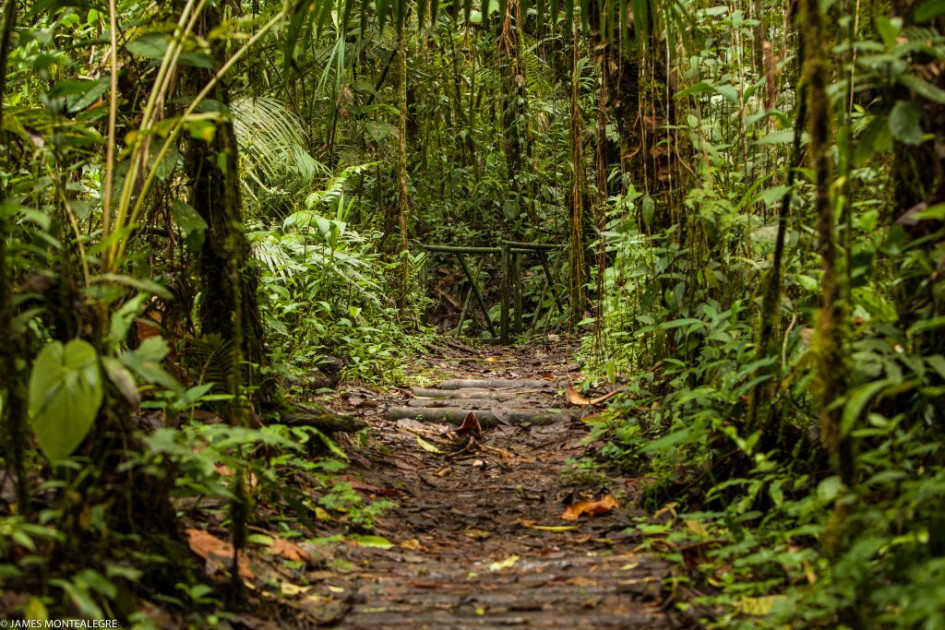 El Eje Cafetero potencia tres joyas turísticas que compiten con los paisajes tradicionales de la región. Un experto ofrece sugerencias.