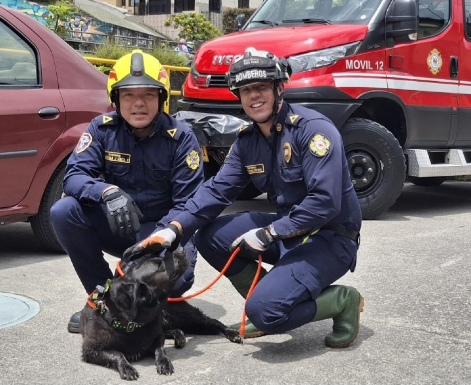 Uno de los perros rescatados.