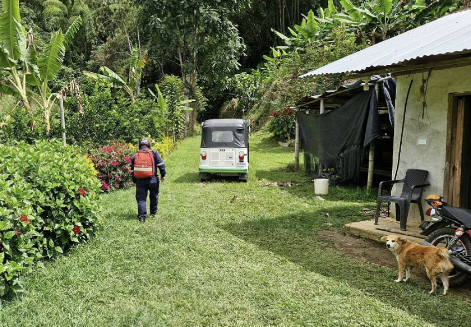 Cinco personas terminaron picadas por las abejas, y a dos debieron trasladarlas al hospital.