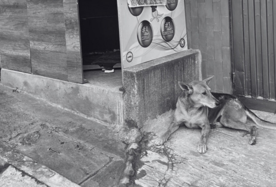 Los hechos ocurrieron el pasado sábado 23 de agosto en la carrera 17 con calle 2ª, en el barrio La Enseñanza de Pereira 