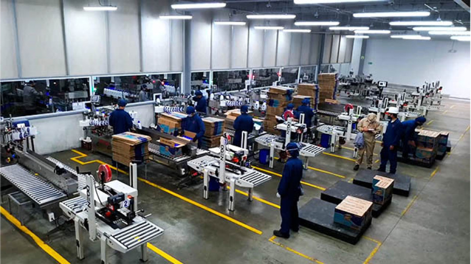 Estas son las empresas con mejor EBITDA en Caldas en el 2024. Vea cómo les fue a compañías reconocidas y cuáles fueron las sorpresas del escalafón.