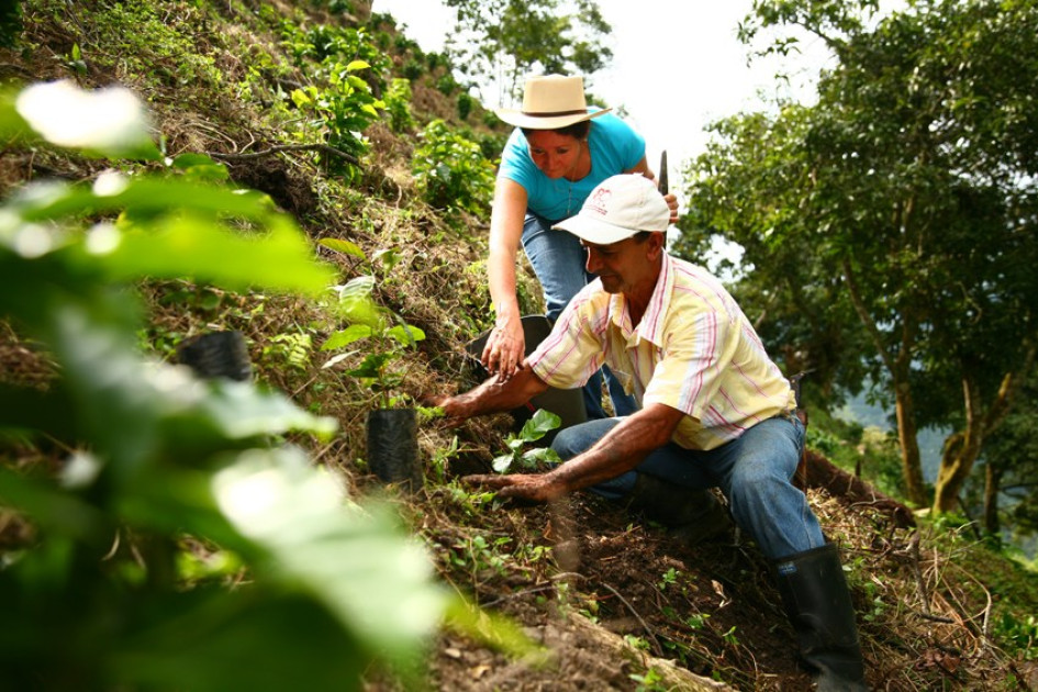 La industria cafetera colombiana se enfoca en que sus procesos productivos sean más amigables con el medioambiente.