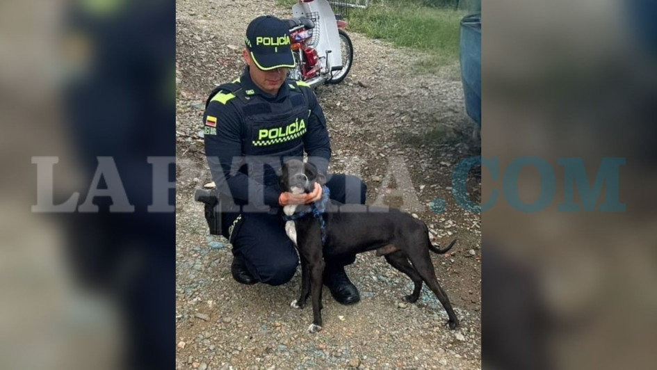 Un video captó la agresión que sufrió Rocky, lo que provocó las protestas de la comunidad.