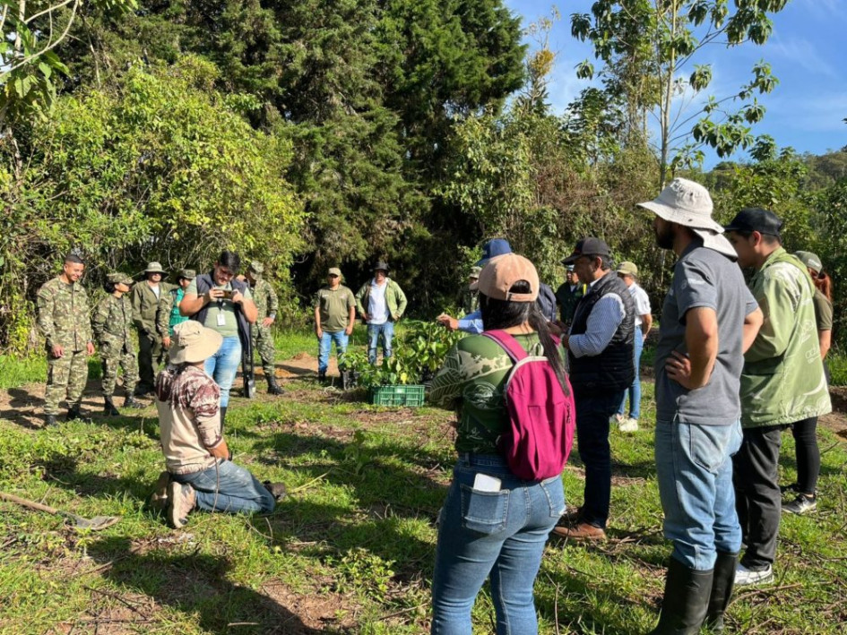 La siembra de árboles que se realizó este jueves en el Ecoparque Los Yarumos. 