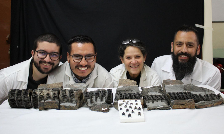 El grupo de científicos de la Universidad Nacional y del Servicio Geológico Colombiano posa junto al fósil de un tiburón gigante, que se considera el más completo que existe en el mundo.