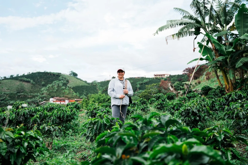 Un experto resalta el crecimiento acelerado de una empresa caldense y analizó su caso de éxito. Así se dispararon los ingresos de este negocio conformado por cuatro firmas del departamento.