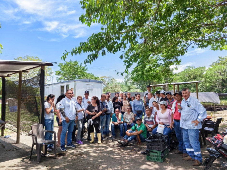 Habitantes de la vereda El Llano de Victoria se capacitan en siembra y manejo de cultivos de cacao.