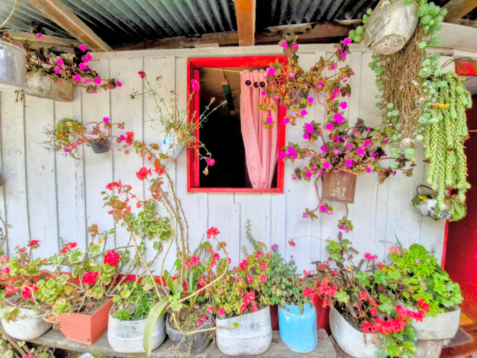 La "Cuna del Paisaje Cultural Cafetero" lo espera. Una nueva marca combina los atractivos del Clúster de Turismo del Norte de Caldas. En la foto, una finca en Marulanda.