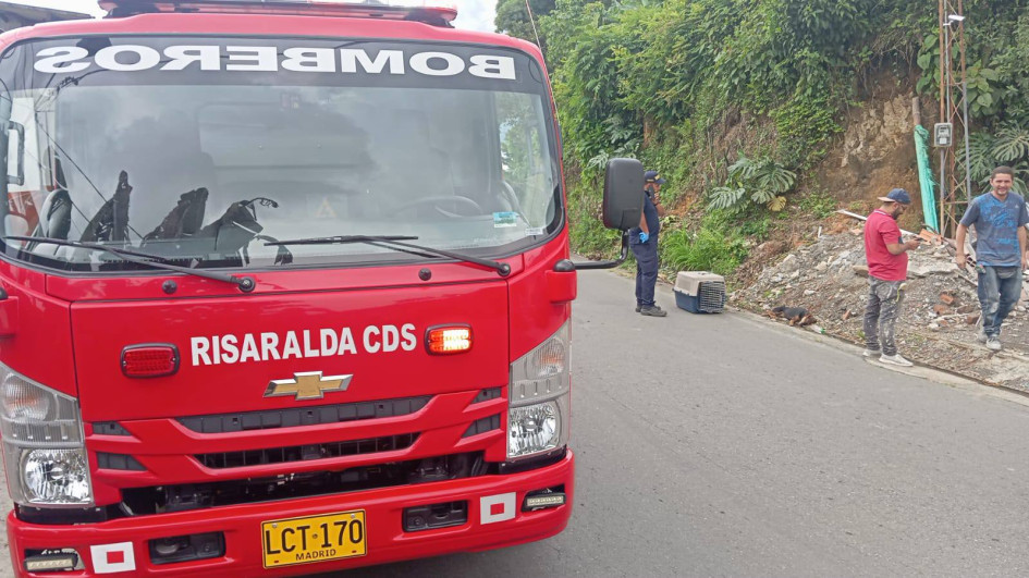 Ciudadanos reportaron que el conductor que atropelló al perro optó por seguir su camino, sin socorrerlo.