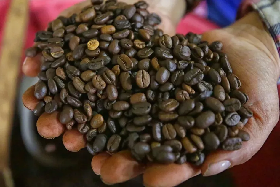 Los principales mercados del café colombiano son Estados Unidos,