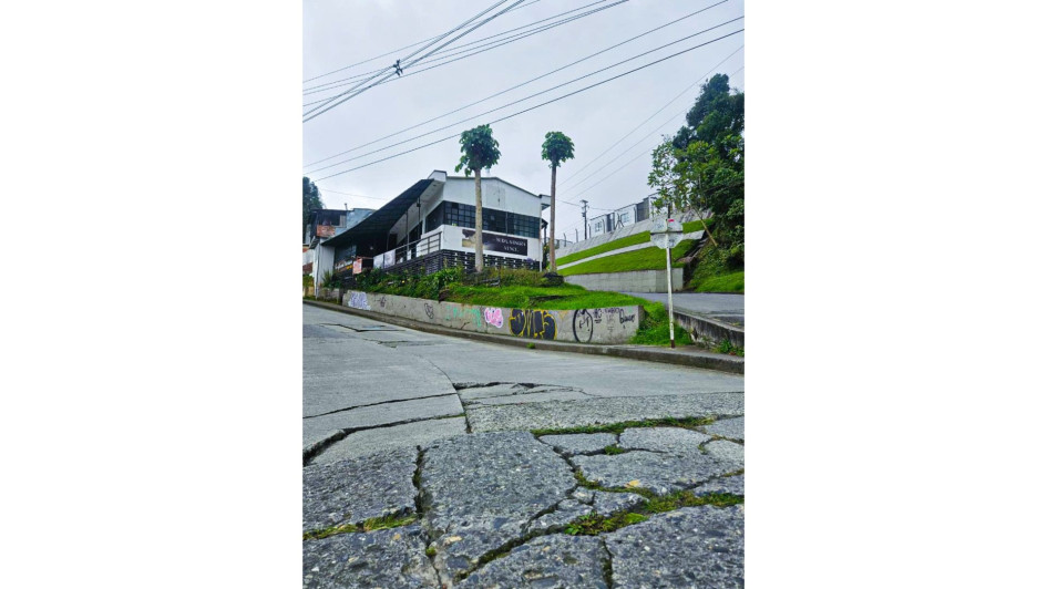 Este es el estado de la entrada al barrio Palonegro.