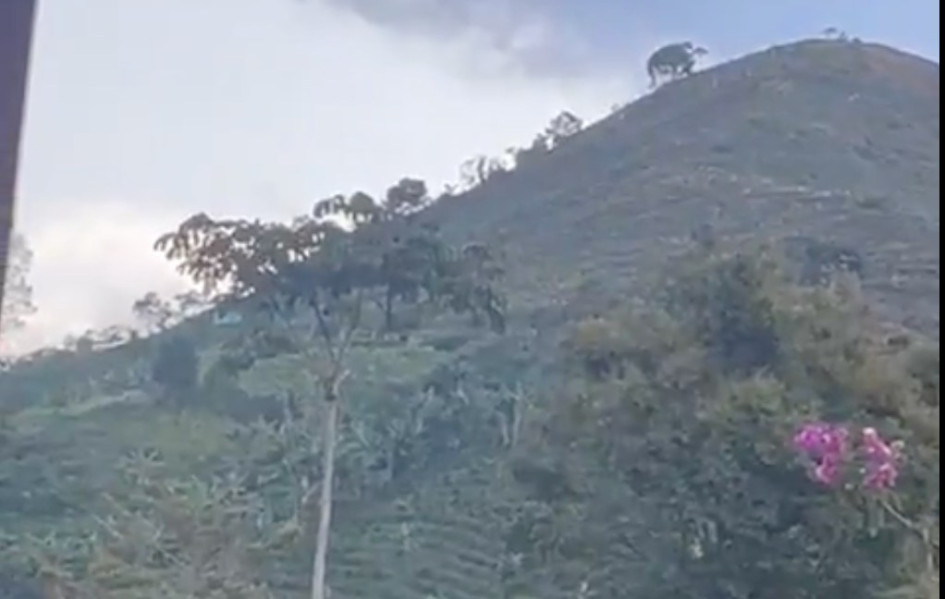 El enfrentamiento entre Clan del Golfo y Policía se dio en la vereda Santa Emilia de Belén de Umbría 