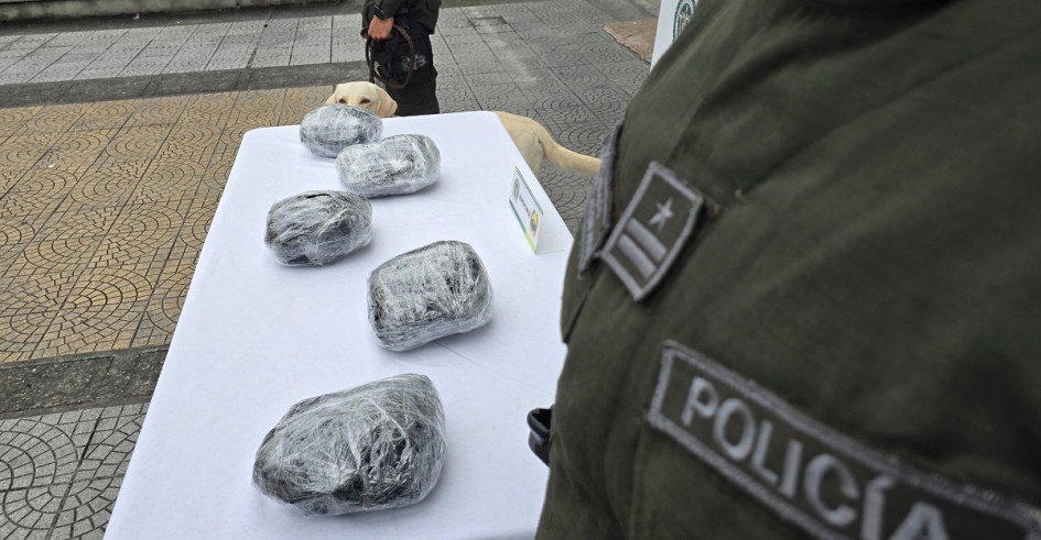 El perro detectó los estupefacientes en tres encomiendas que tenían como destino a Manizales y Villamaría.