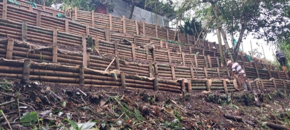 Así combate el Quindío los deslizamientos: bioingeniería como alternativa sostenible