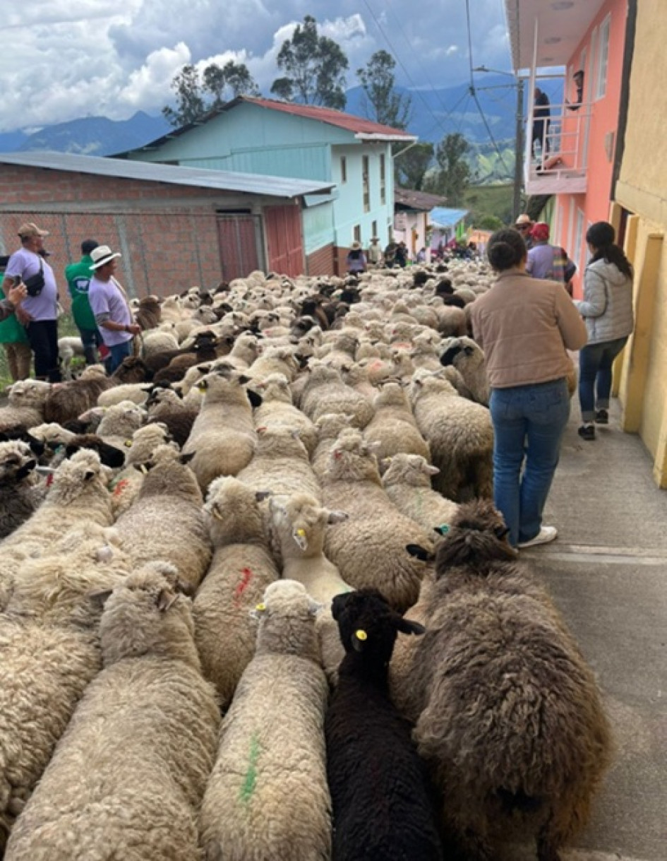 Foto | Cortesía | LA PATRIA