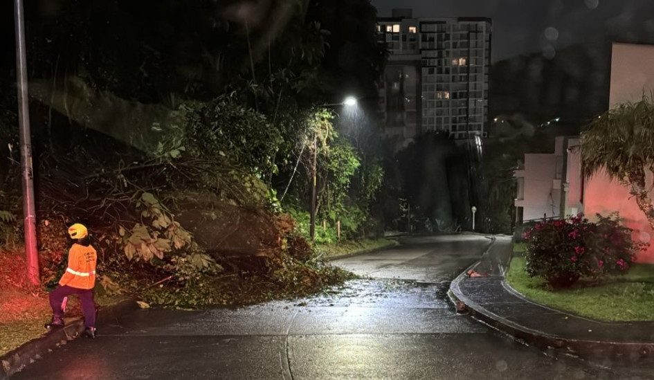 La Unidad de Gestión del Riesgo de Manizales advierte sobre alerta amarilla en Chipre y La Palma por lluvias superiores a 200 milímetros en los últimos 25 días.