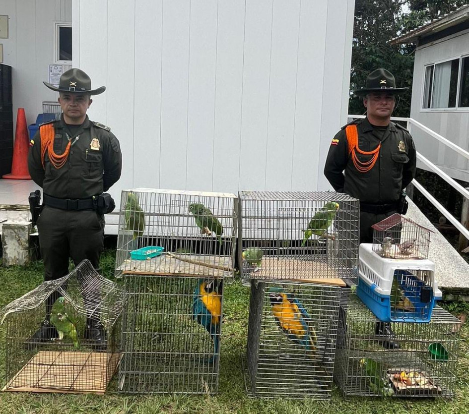 "Cada animal que rescatamos es una vida que vuelve a la libertad, y también un recordatorio de la responsabilidad que tenemos como sociedad".