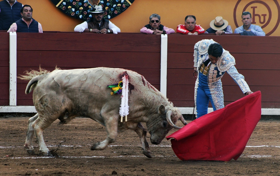 Fotografía cedida este domingo por Jorge Eduardo Gallegos Infante del torero mexicano Uriel Moreno 'El Zapata' durante una corrida de toros en Tlaxcala (México).