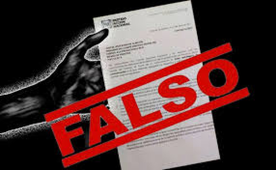 La mujer, al parecer, falsificó un documento.