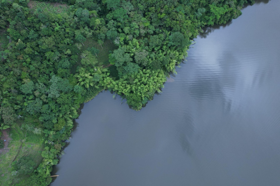 Laguna de San Diego, en Samaná (Caldas), que permanece cerrada por presencia del Virus de la Tilapia.