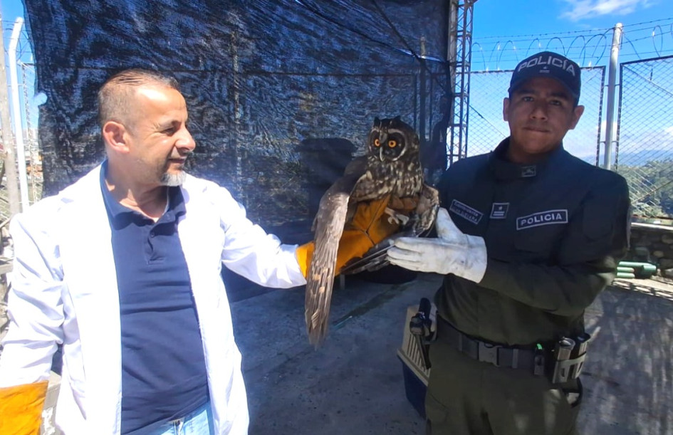 Ambas aves presentaban problemas de salud y las entregaron a Corpocaldas.