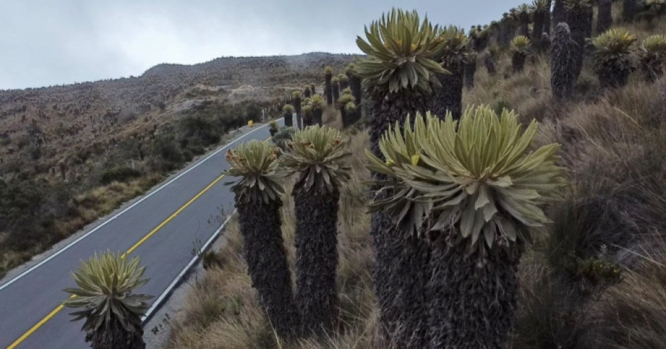 El pico y placa ambiental en la vía Manizales - Murillo, carretera que bordea el volcán Nevado del Ruiz. 