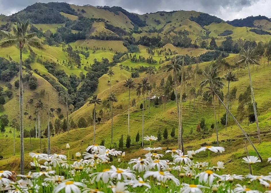 El paseo soñado exige prevención. Cuídese de los fraudes, un peligro oculto al contratar un viaje en vacaciones. Cinco expertos ofrecen consejos. También recomiendan disfrutar estos destinos en el Eje Cafetero. En la foto, el valle de la Samaria, en Salamina (Caldas).